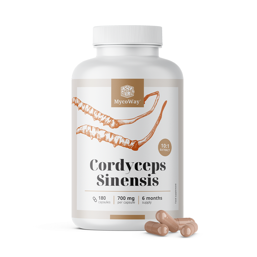 Cordyceps sinensis 1400 mg - ekstrakt 10:1.