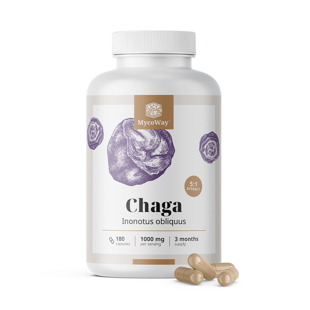 Chaga 1000 mg - ekstrakt 5:1