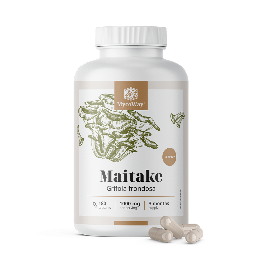 Maitake 1000 mg - ekstrakt.