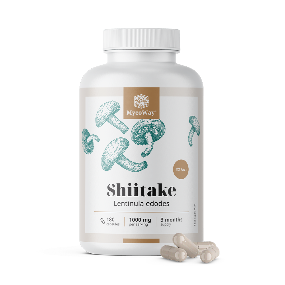 Shiitake 1000 mg - ekstrakt.