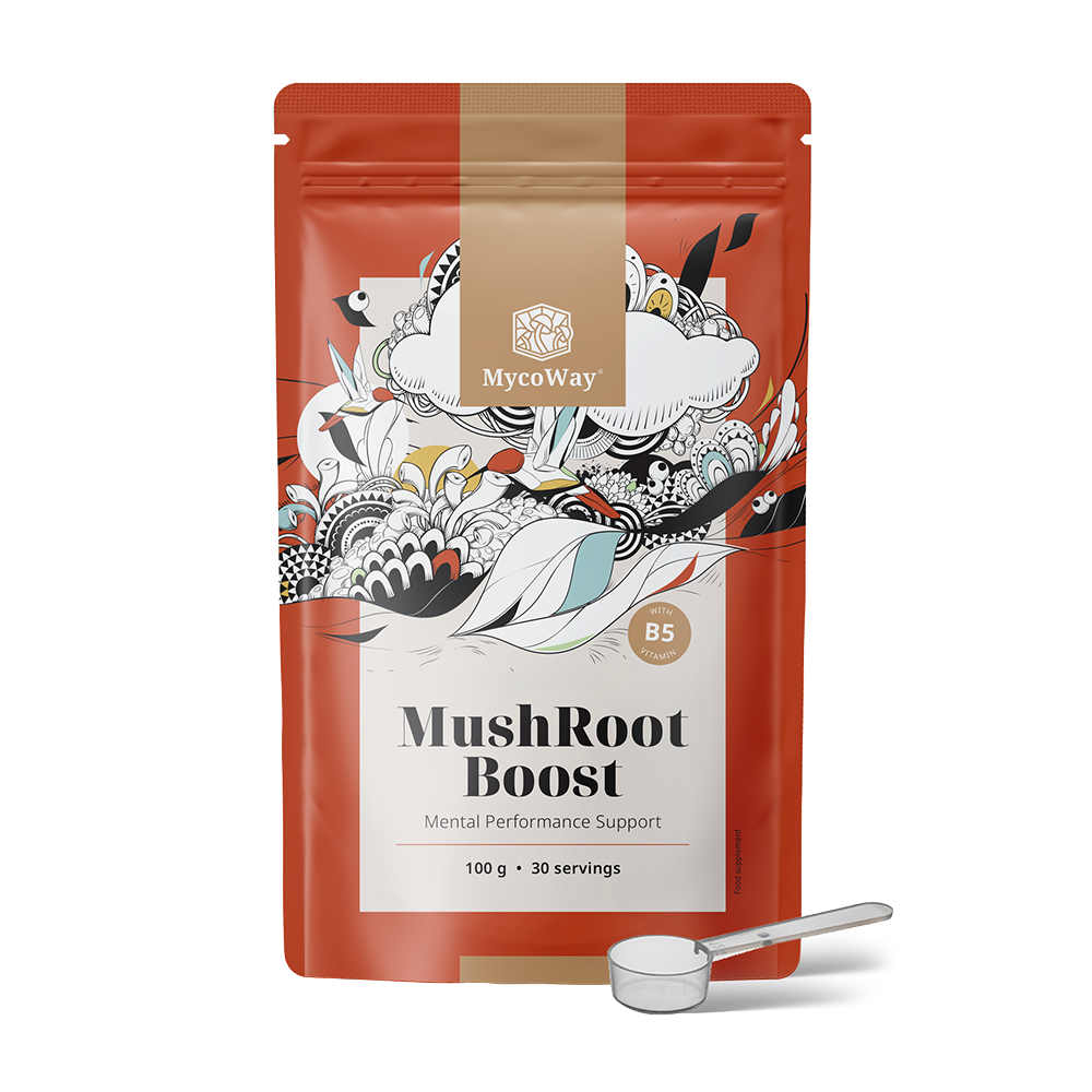 MushRoot Boost – napitak za mentalnu sposobnost