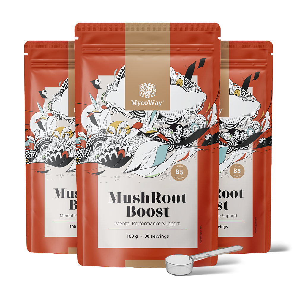 MushRoot Boost – napitak za mentalnu sposobnost