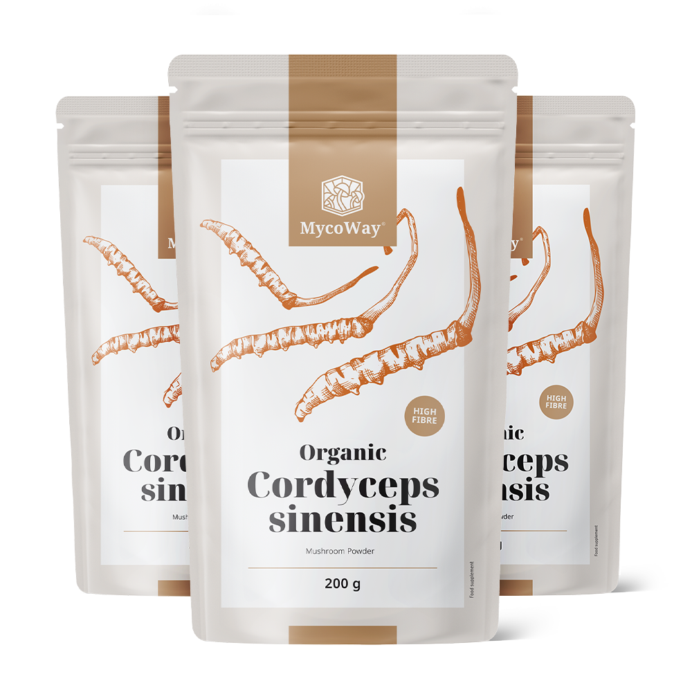 BIO Cordyceps sinensis u prahu